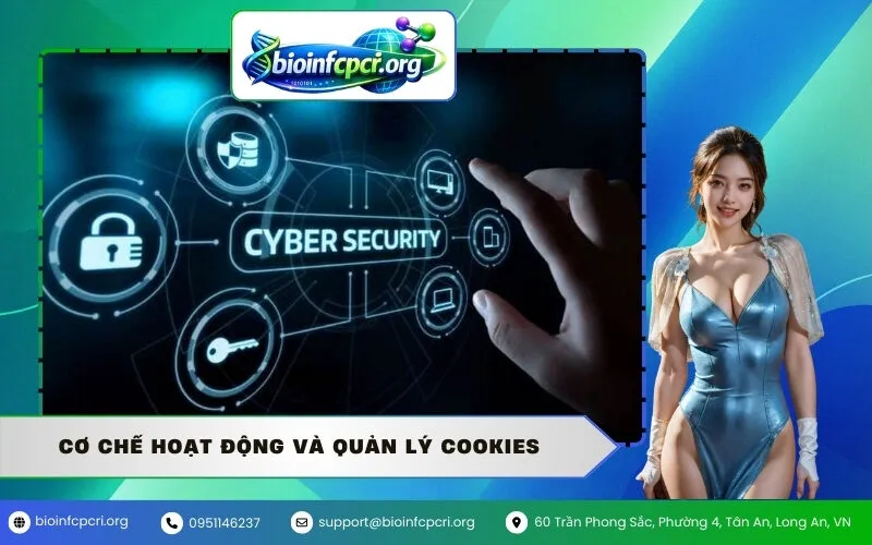 Cơ chế hoạt động và quản lý Cookies